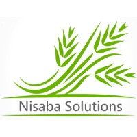 Nisaba Solutions Logo
