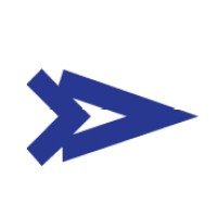 TeleSolv Consulting, Inc. Logo