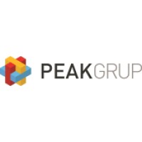 Peak Grup Logo