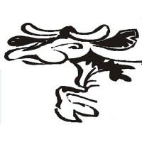 IJsboerderij t Dommerholt Logo