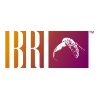 BRI Associates (BRI, LLC) Logo
