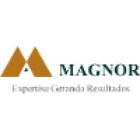 Magnor Consulting Logo