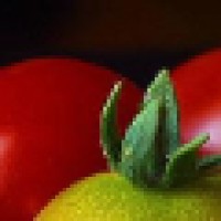 Yourfarmstand.com Logo
