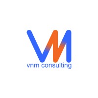 VNM CONSULTING LIMITED Logo
