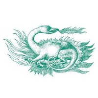 Salamander Investment Network Logo