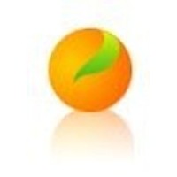 Citrus Lending Inc. NMLS # 326484 Logo
