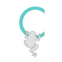 COOLOOK Logo