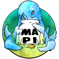 MAPI Logo