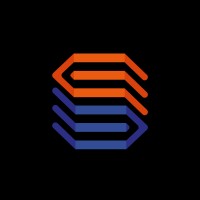 Salyn Logo