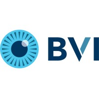 BVI Medical Logo