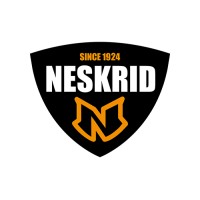 Neskrid 4Allfeet Logo