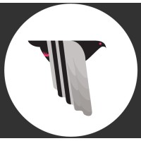 Pigeons & Planes Logo
