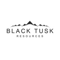 Black Tusk Resources Inc. (CSE:TUSK) Logo