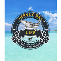 Hervey Bay Life Logo