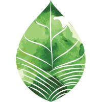 Edge Early Learning Logo