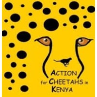 Action for Cheetahs in Kenya Logo
