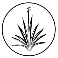 Sisal Frontier Strategies Logo