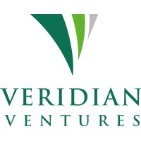 Veridian Ventures Logo