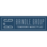 Brindle Group Logo