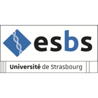 ESBS Logo