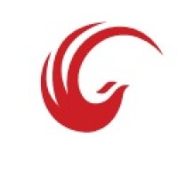 Phoenix Vision Consultant Group Logo