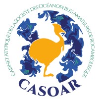 CASOAR Logo
