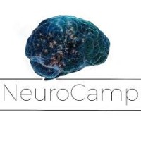 NeuroCamp Logo