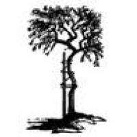 Cedar Orthopaedic Surgery Center Logo