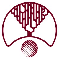 Youth Section of Hungarian Energy Association Logo
