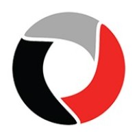 Direct Performance Data Logo