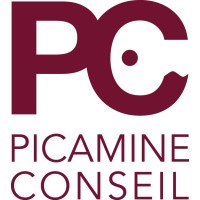 PICAMINE Conseil Logo