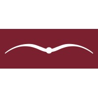 Animo Srl Logo