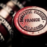 Domaine Parent / Société Jacques Parent & cie Logo