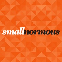 smallnormous LLC Logo