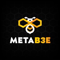 MetaB3E Logo