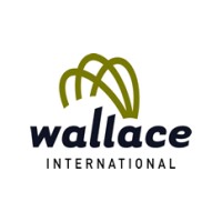Wallace International Pty Ltd Logo