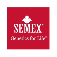 Semex UK Logo