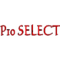 P10 Select Fantasy Racing Logo