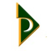 Pinnacle Travel Services, LLC Logo