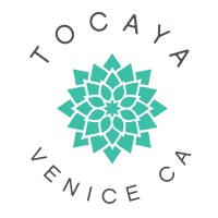 Tocaya Modern Mexican Logo