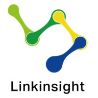 Linkinsight Corporation Logo
