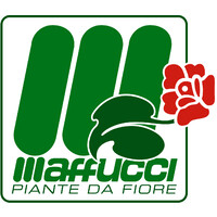 Floricoltura Luca Maffucci Logo