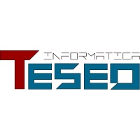 TESEO INFORMATICA S.r.l. Logo