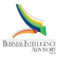 BI Advisory Group Logo