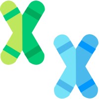 Fast Data Science Logo