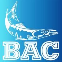 Burlingame Aquatic Club Logo