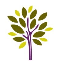 The Wishing Tree Company Logo