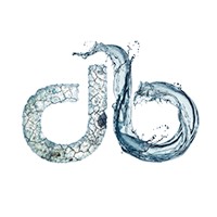 DryBath Pty Ltd Logo