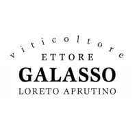 ETTORE GALASSO Logo