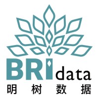 Beijing Bridata Technology Co.,Ltd. Logo